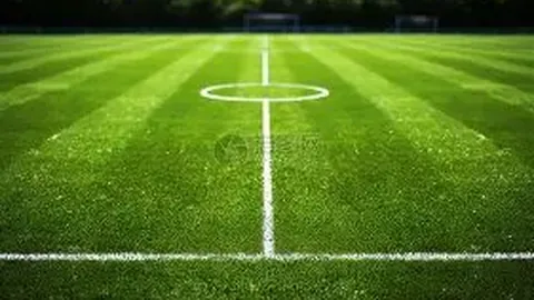 MG电子 产品 233517 o15