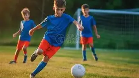 MG电子 产品 233500 v5y