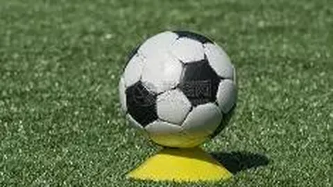 MG电子 产品 092646 wt4